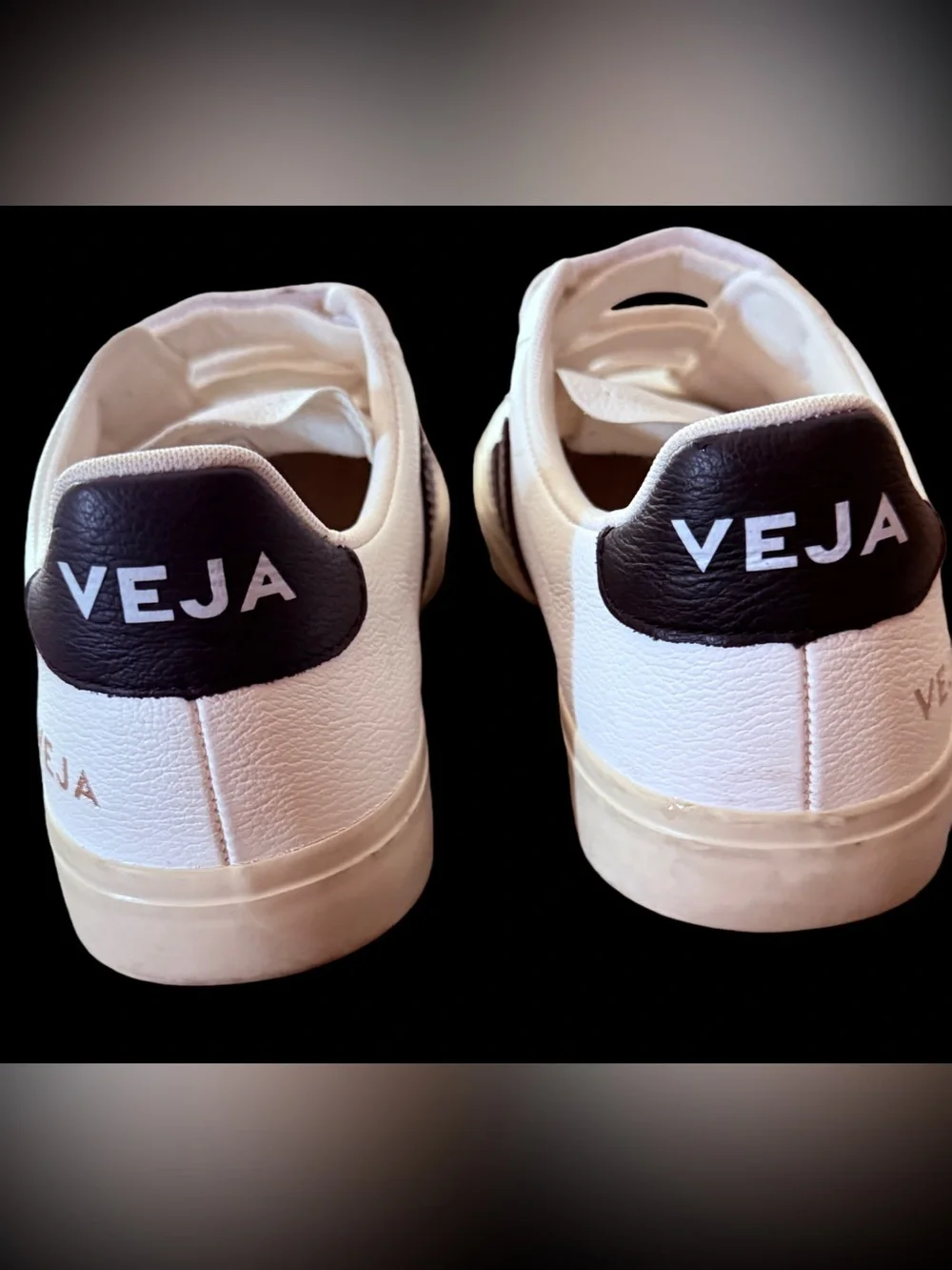 Veja Recife sneakers size 8